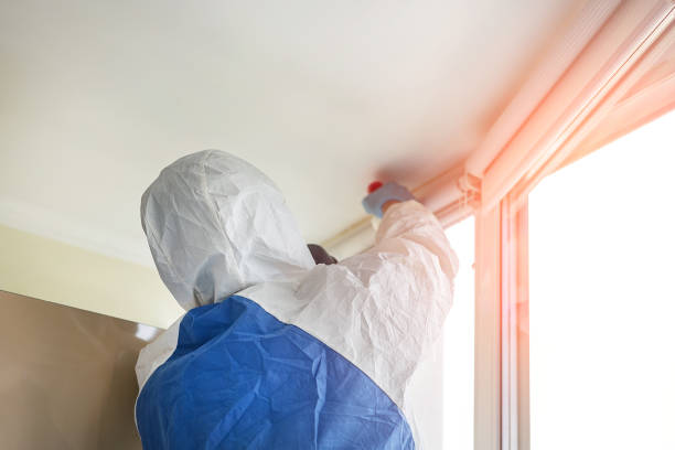 Best Biohazard Mold Removal  in Little Falls, NY