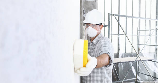 Best Environmental Consulting for Mold Prevention  in Little Falls, NY